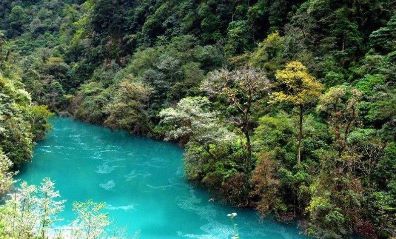 宣布灭绝的生物出现了，野生华南虎会被重新发现吗？