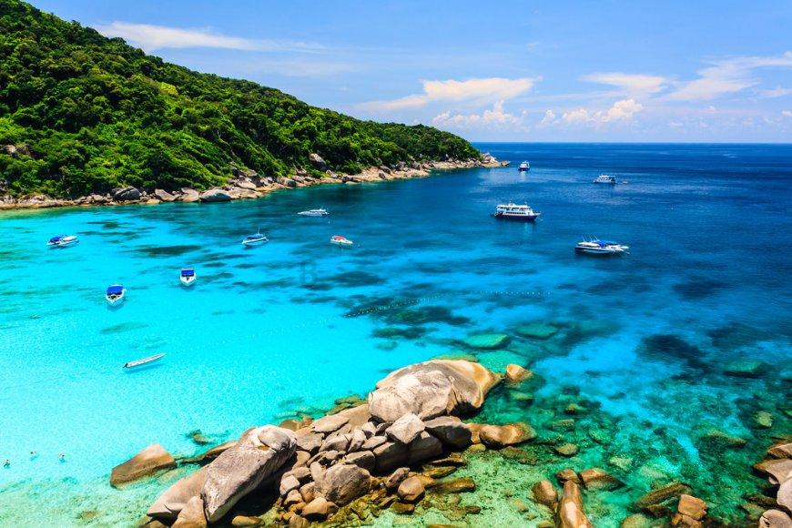 探索家暴对人的身心伤害有多大?,发现新知识之旅